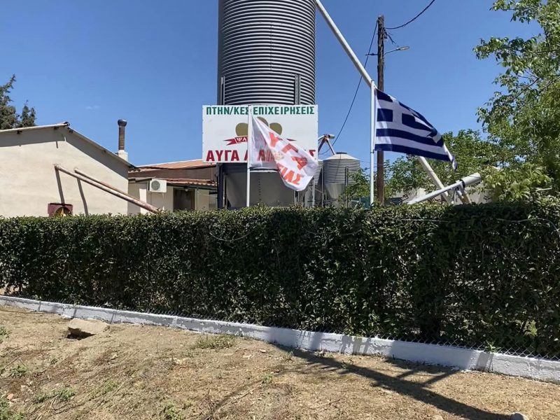 Αυγά Λιβαδειάς
